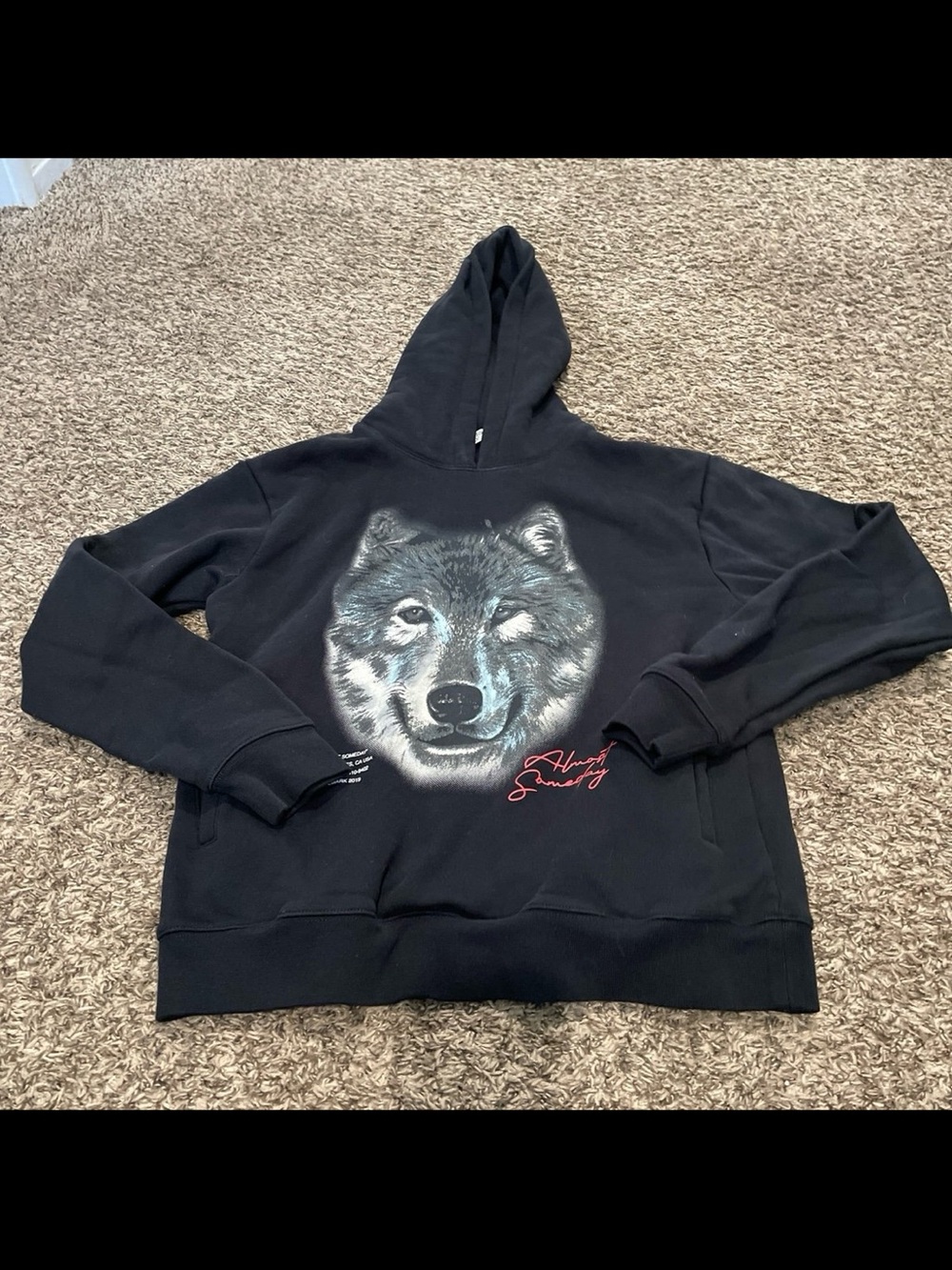 almost someday NWOT Wolf hoodie medium
